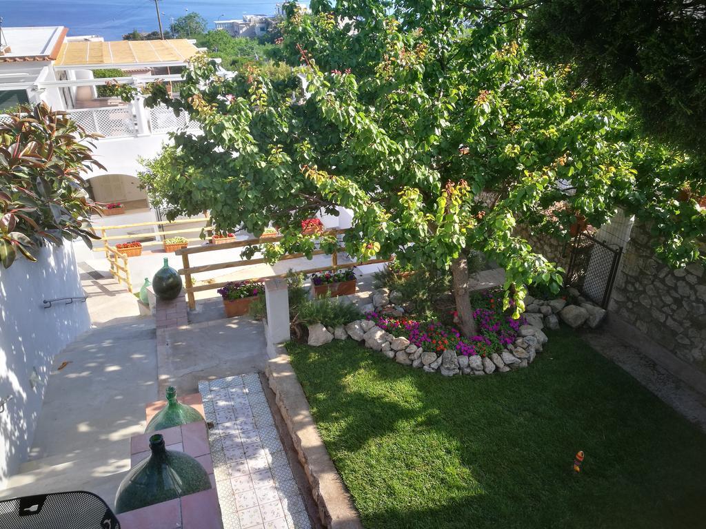 Maison d'hôtes Patrizi Capri